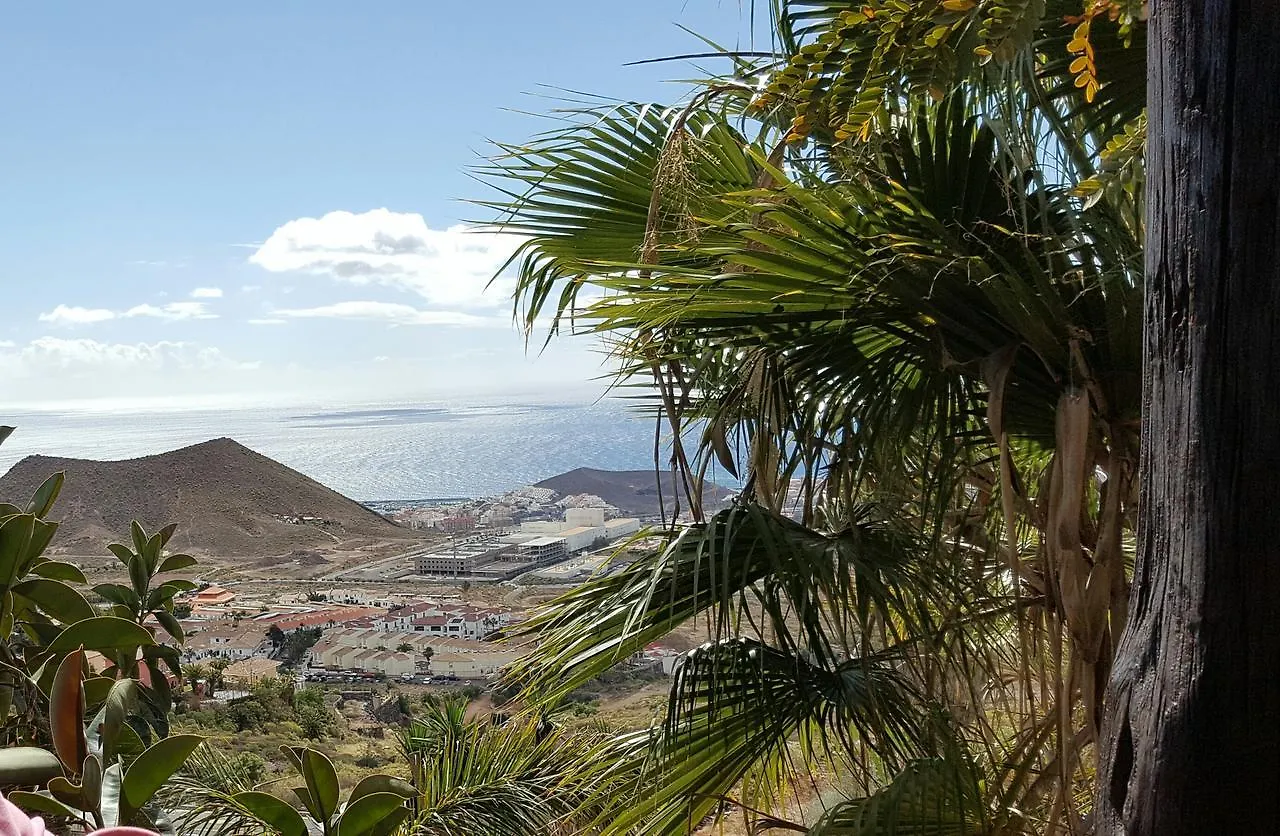 Oasis Dakota Apartment Costa Adeje   Costa Adeje (Tenerife)