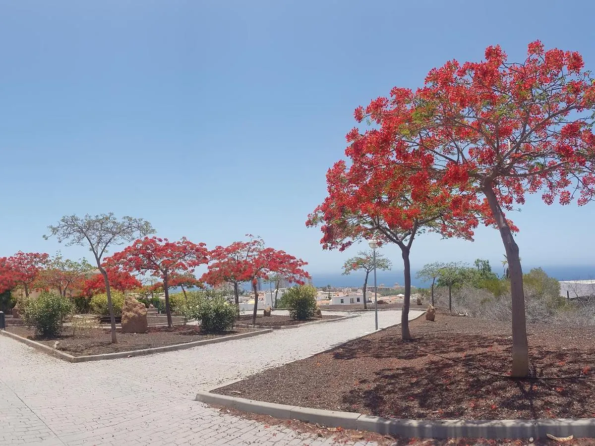 Oasis Dakota Apartment Costa Adeje  Spain